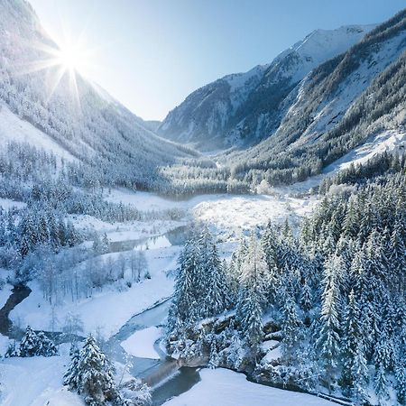 Feriengut Ottacherhof - Active Family Holiday In Central Hollersbach Hollersbach im Pinzgau Zewnętrze zdjęcie